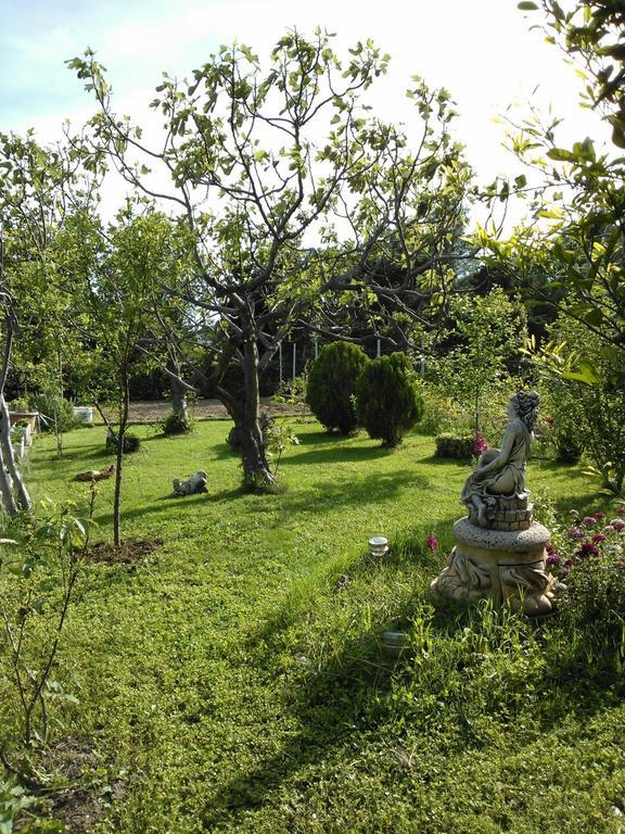 Apartments Lana Стариград-Пакленица Екстериор снимка